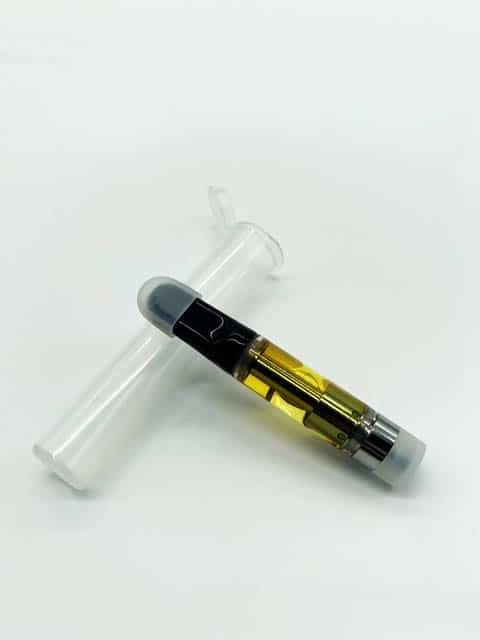 product_img1